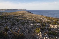 Marfa Ridge: Qammiegħ to Rdum tal-Madonna